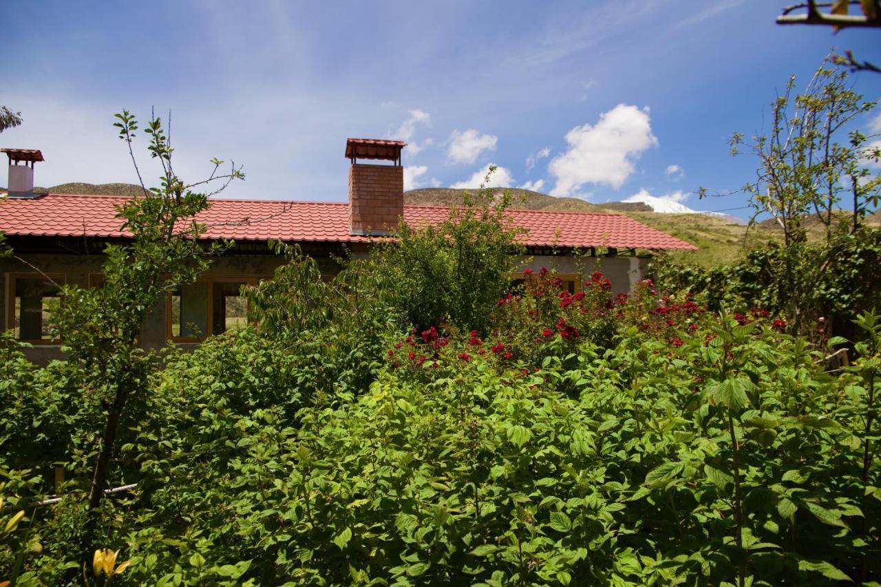 Hostal Vientos Del Altiplano Putre Dış mekan fotoğraf