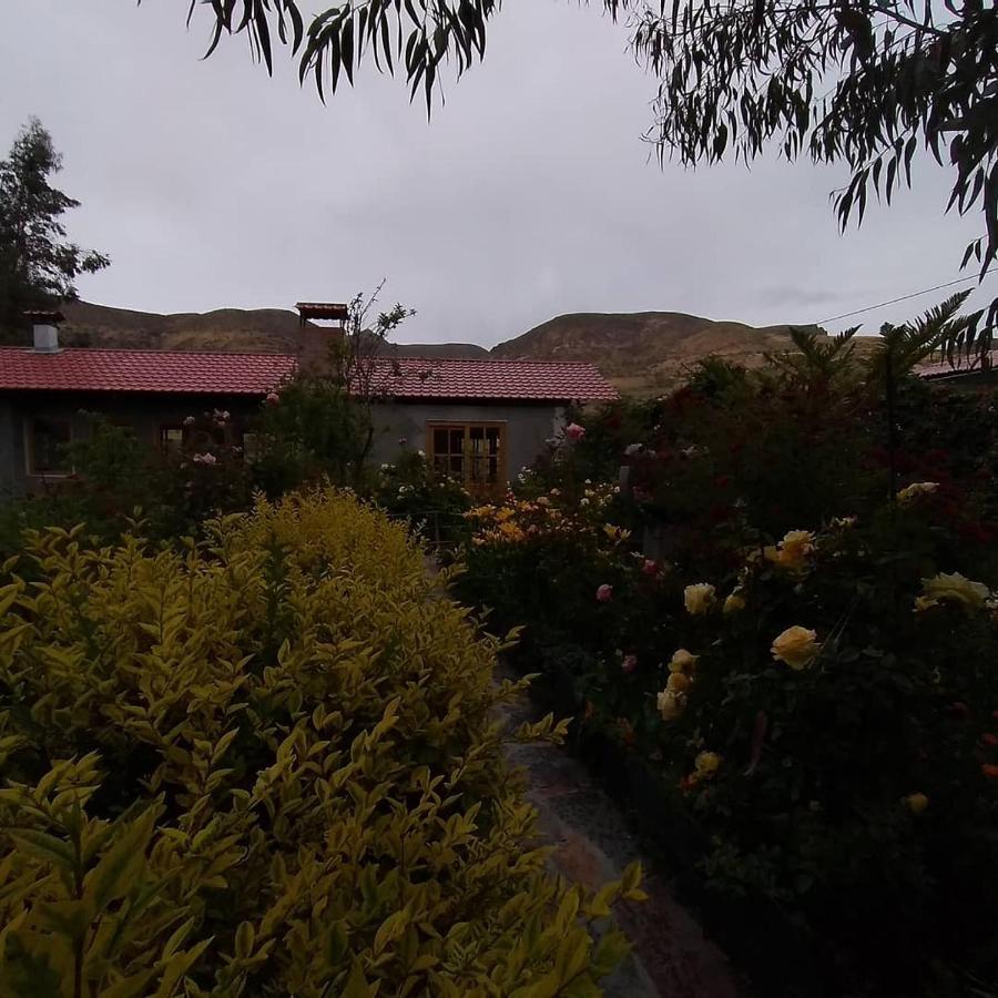 Hostal Vientos Del Altiplano Putre Dış mekan fotoğraf