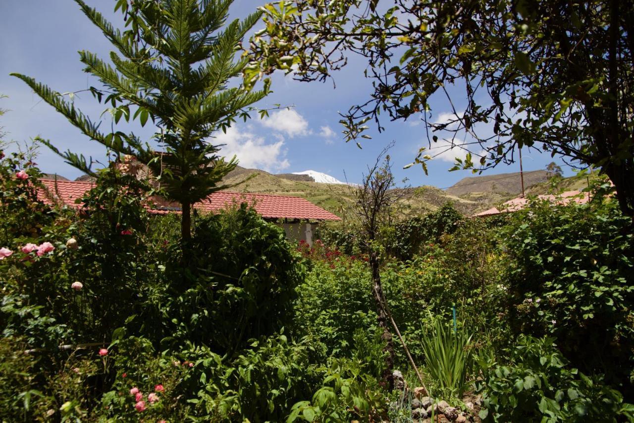 Hostal Vientos Del Altiplano Putre Dış mekan fotoğraf
