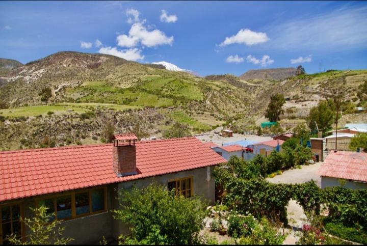 Hostal Vientos Del Altiplano Putre Dış mekan fotoğraf