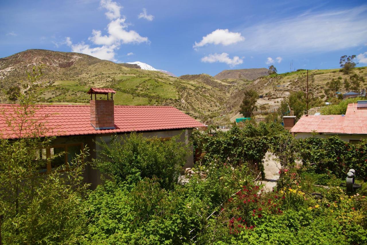 Hostal Vientos Del Altiplano Putre Dış mekan fotoğraf