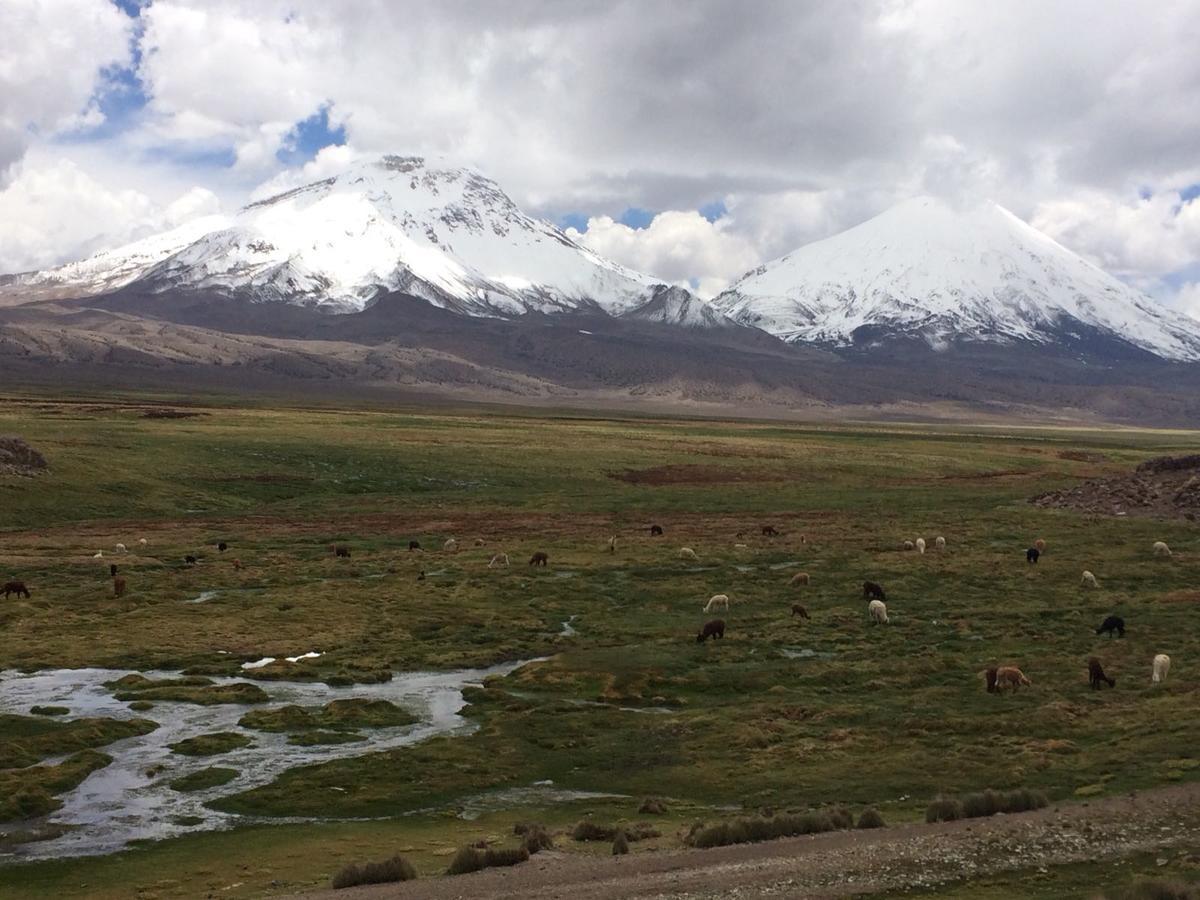 Hostal Vientos Del Altiplano Putre Dış mekan fotoğraf