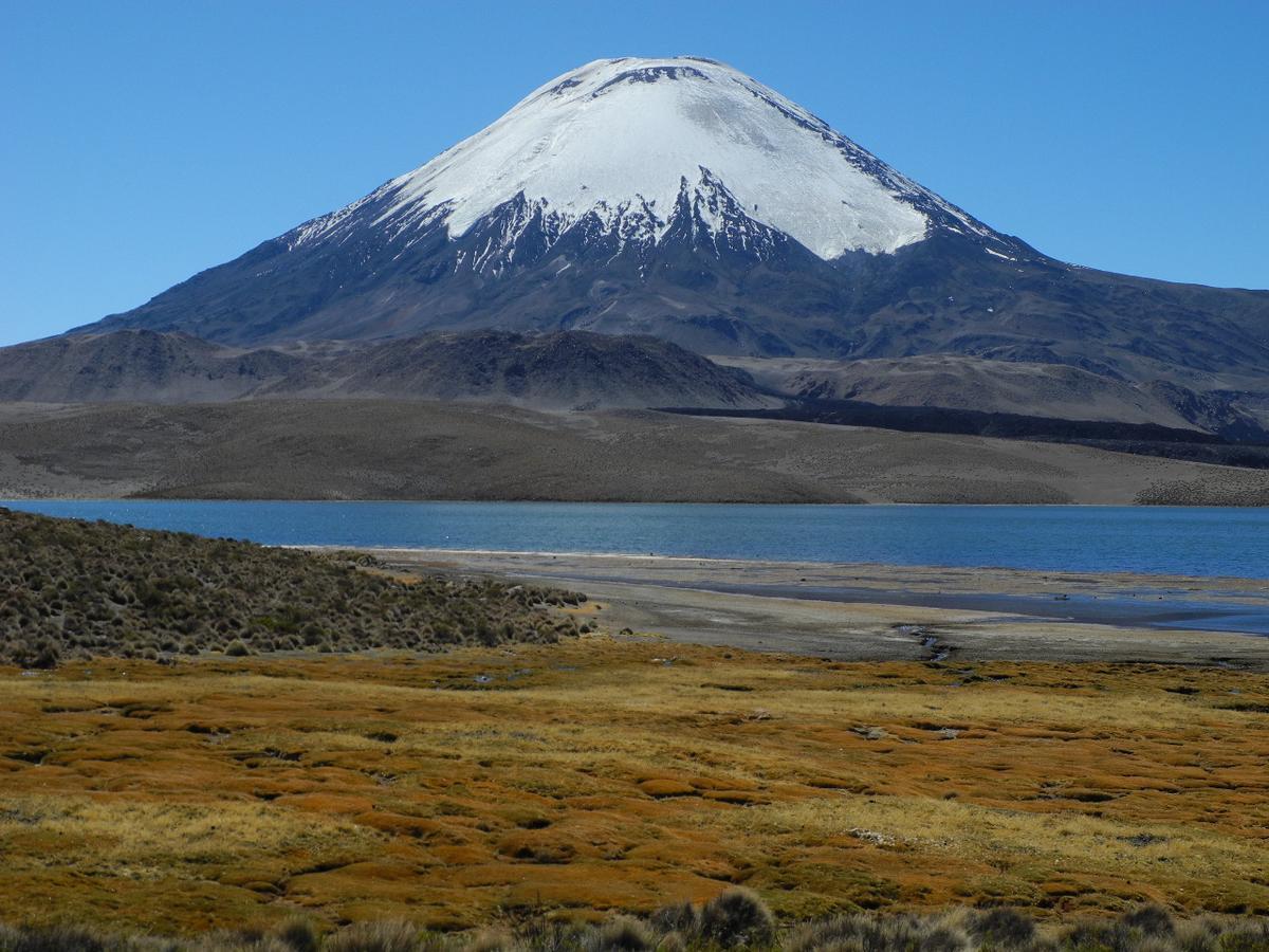 Hostal Vientos Del Altiplano Putre Dış mekan fotoğraf
